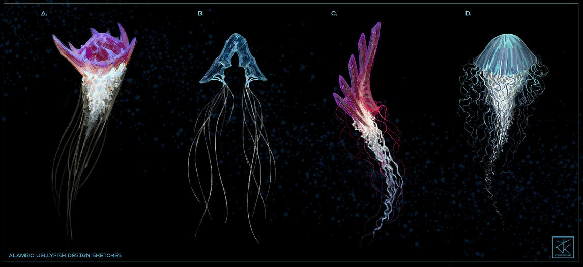 Alambic jellyfish sketches