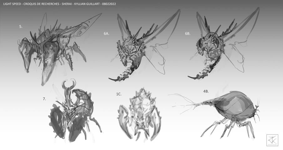 Concept sketches