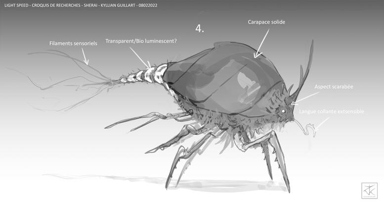 Concept sketches