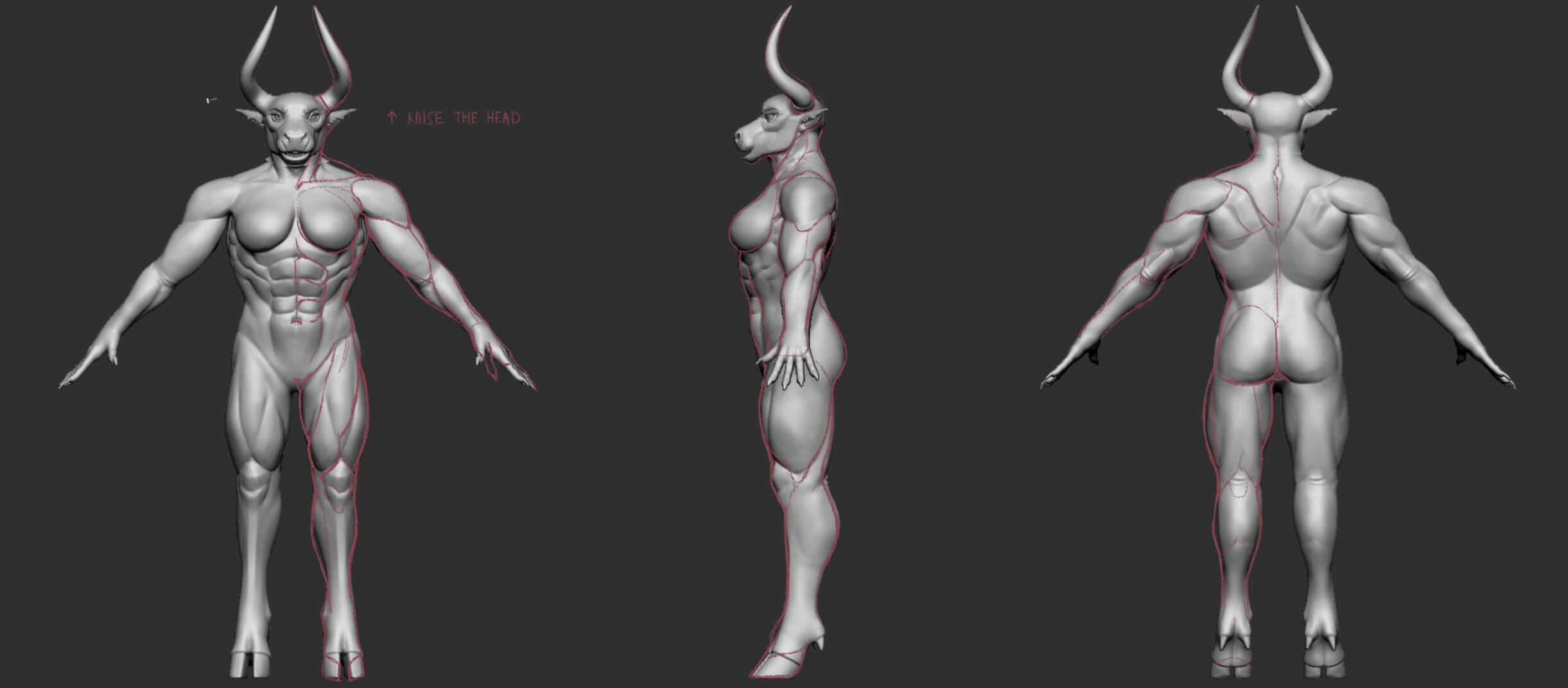 Anatomy Paintover